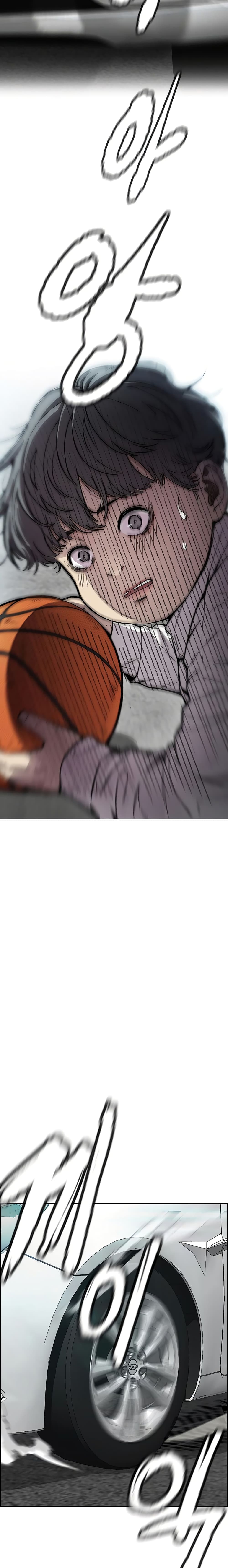 Windbreaker SS4 29 17